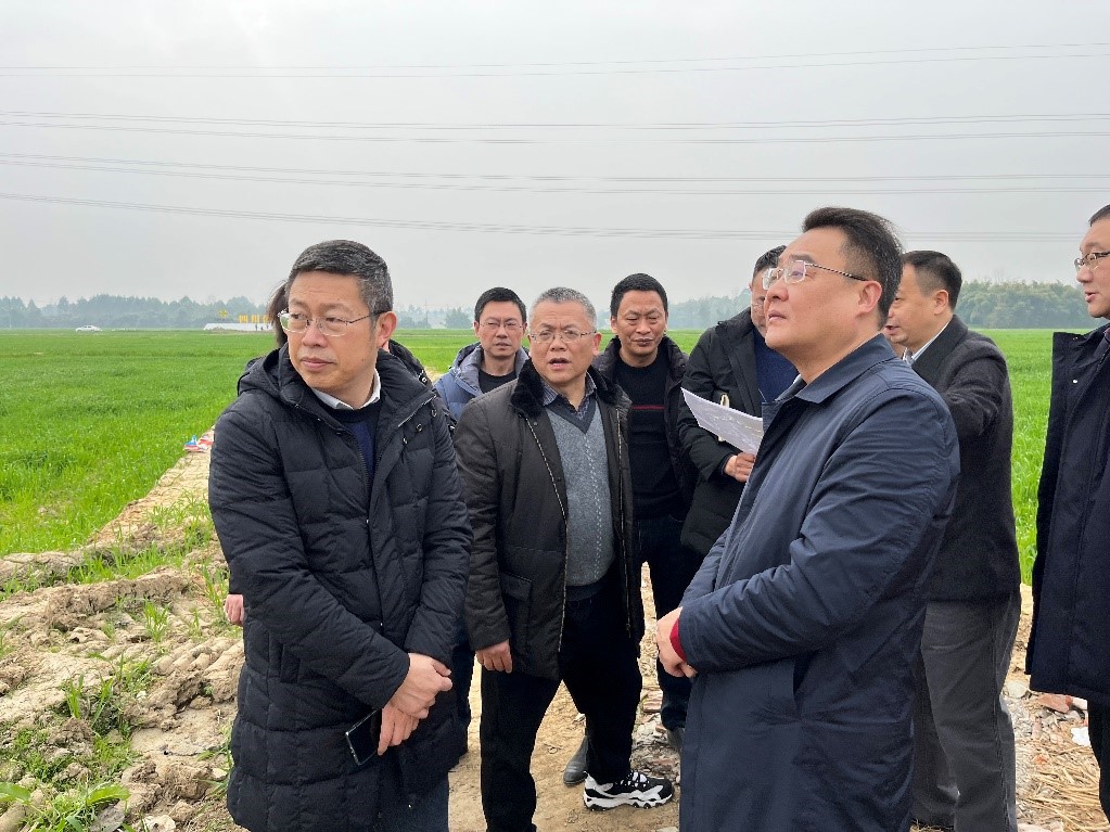 省社、省供投集團(tuán)領(lǐng)導(dǎo)調(diào)研青白江區(qū)四川現(xiàn)代供銷種業(yè)園區(qū)