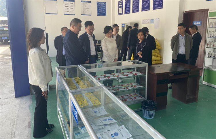 四川省供銷社黨組成員、理事會副主任、一級巡視員楊武秀帶隊到萬源調(diào)研集團舊院黑雞產(chǎn)業(yè)發(fā)展工作