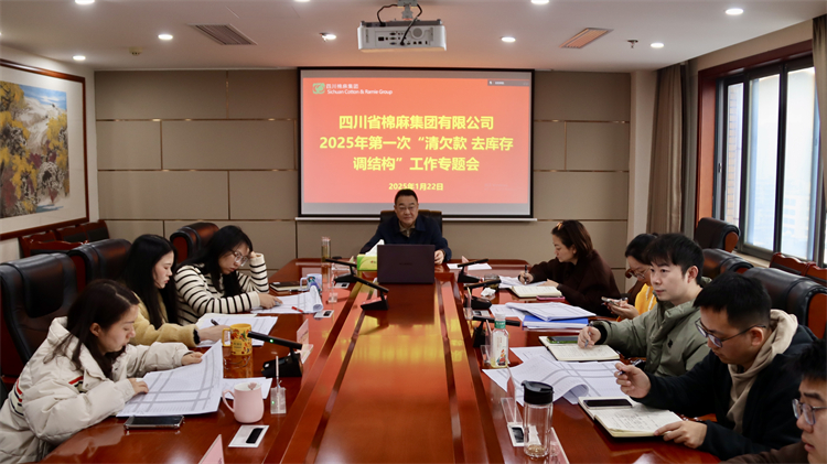 集團(tuán)公司召開2025年第一次“清欠款、去庫存、調(diào)結(jié)構(gòu)”工作專題會(huì)